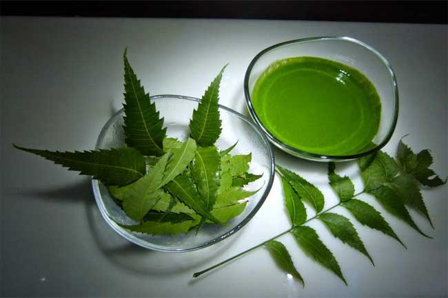 नीम की पत्तियां